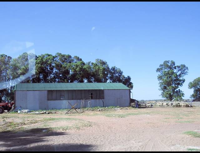 603HA FARM FOR SALE IN HOPEFIELD RURAL